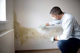 Biohazard Mold Removal in Thompsonville, PA